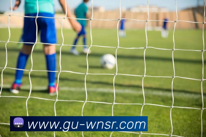 威尼斯人官网APP 封面图